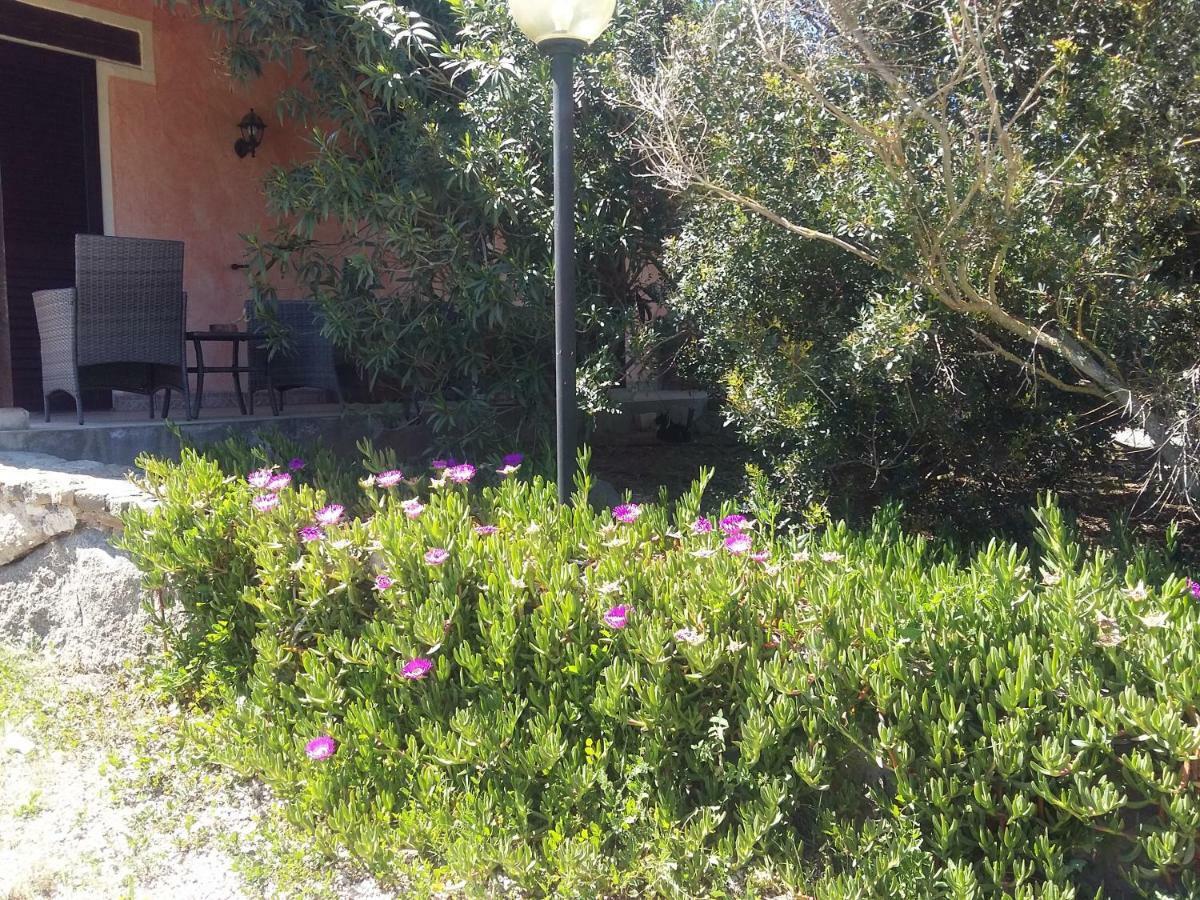 Agriturismo Pedru Caddu Tula Exterior foto